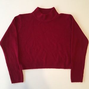 Cropped Red Knit Turtleneck